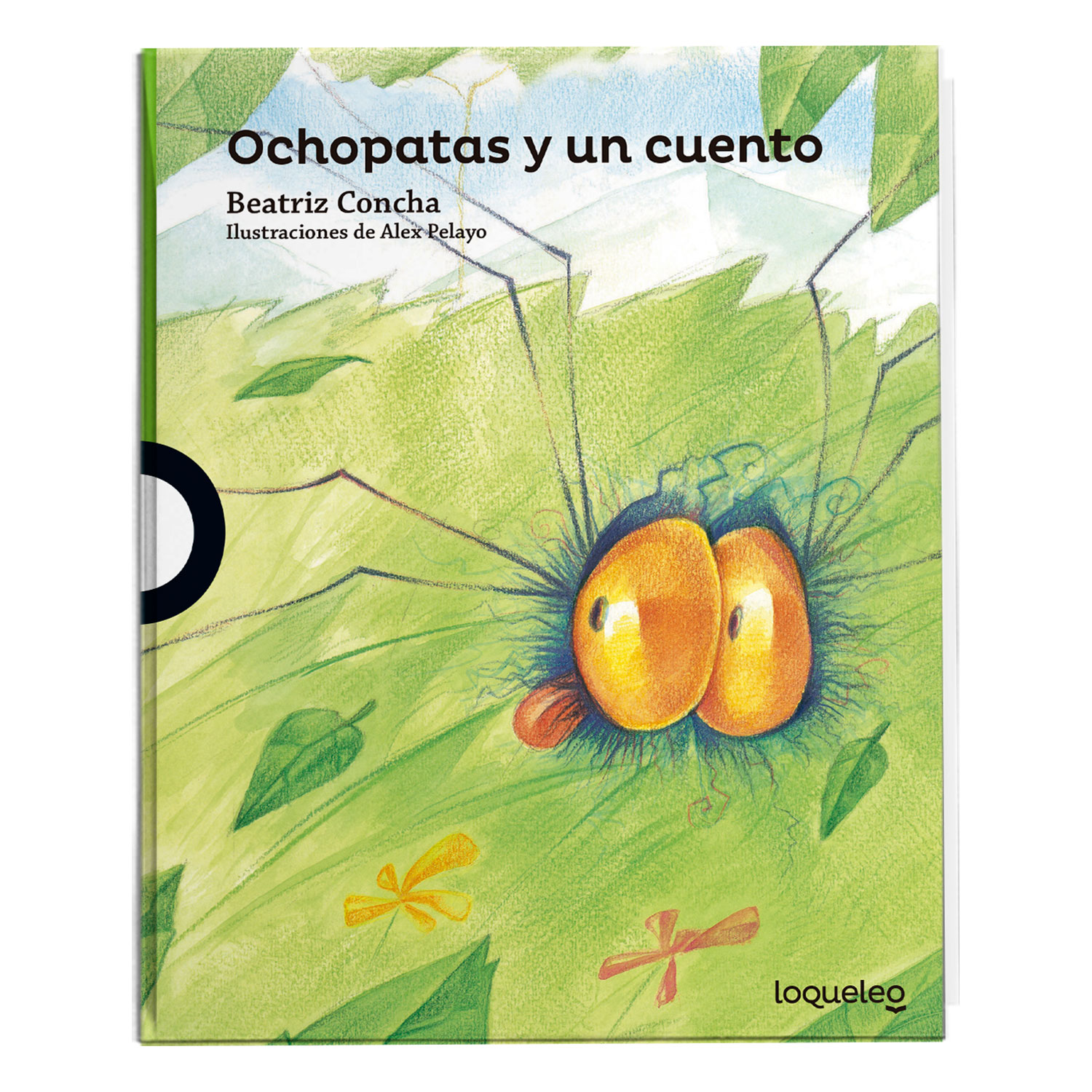 Imagen Producto