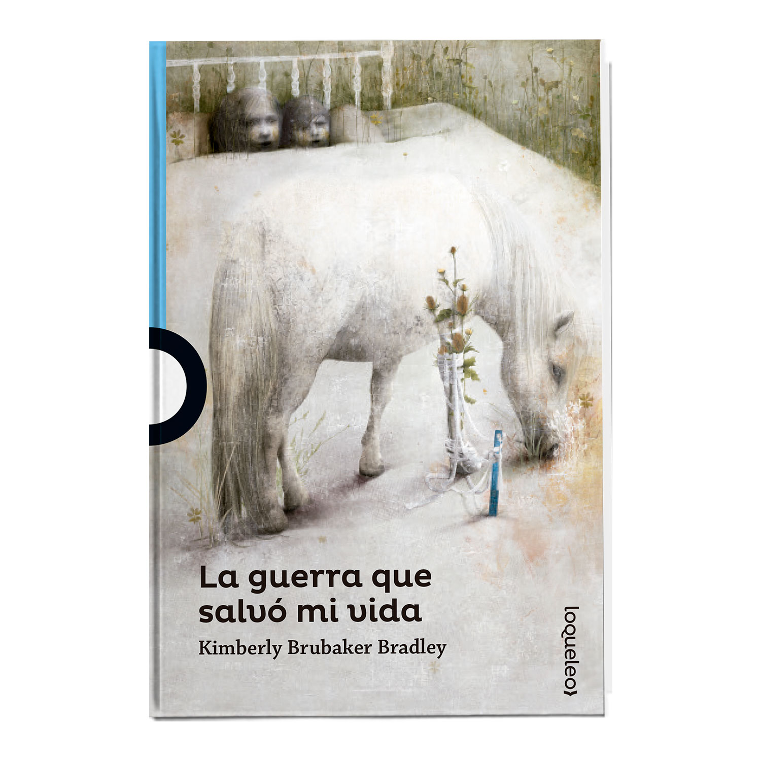 Imagen Producto